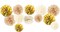 White Gold Party Decoration, 12 PCS White Gold Champagne Tissue Paper Pom Poms Paper Flowers for Wedding Bridal Baby Shower Engagement Birthday Prom Festival Party Supplies Visit the NICROHOME EUR Store